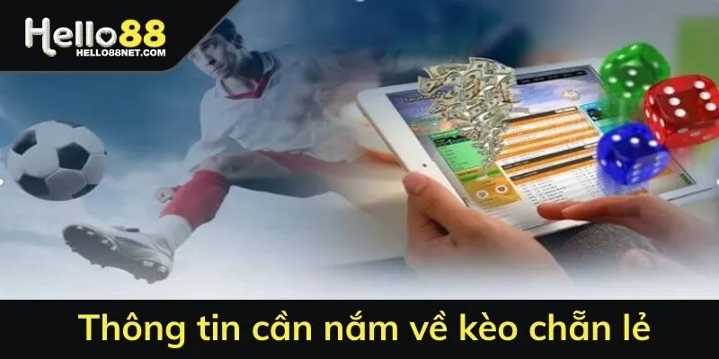 Thông tin cần nắm về kèo chẵn lẻ